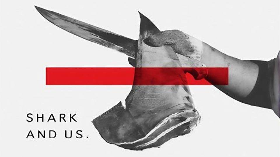 Shark & Us