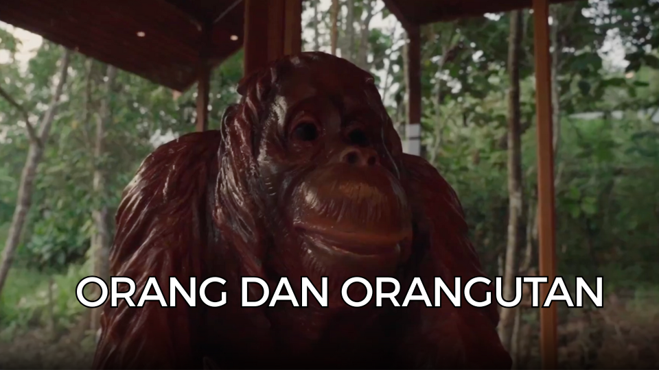 Orang dan Orangutan